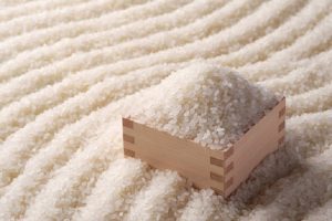 đại lý gạo hóc môn